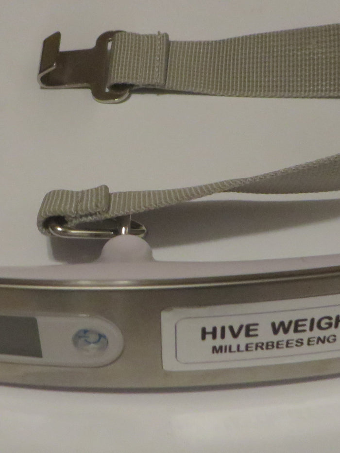Hive Weigh Hive Weigh