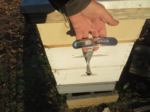 Hive Weigh