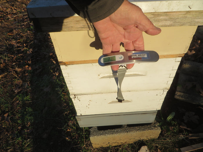 Hive Weigh